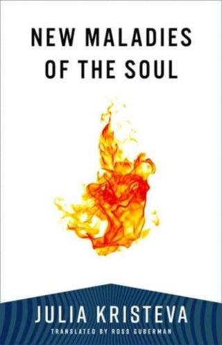 Cover image for 9780231216715 - New Maladies of the Soul