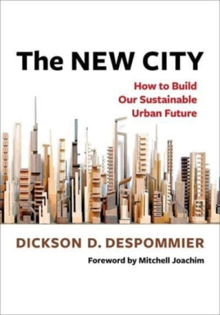 Cover image for 9780231219099 - The New City