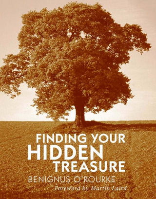 Supplemental image for 9780232528077 - Finding Your Hidden Treasure