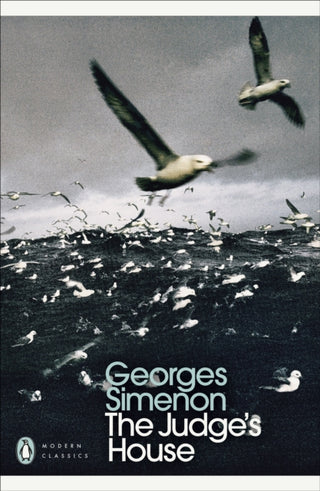 Cover image for 9780241188453 - The Judge's House