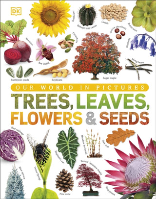 Cover image for 9780241339923 - Our World in Pictures: Trees, Leaves, Flowers & Seeds