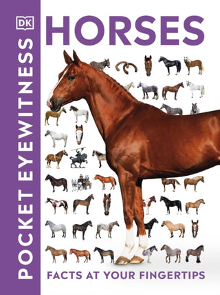 Cover image for 9780241343661 - Pocket Eyewitness Horses