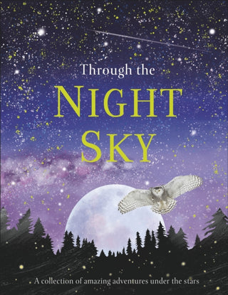 Cover image for 9780241355459 - Through the Night Sky