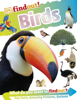 Cover image for 9780241358474 - DKfindout! Birds