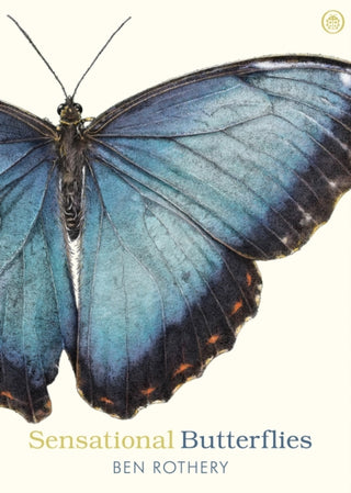 Supplemental image for 9780241361054 - Sensational Butterflies