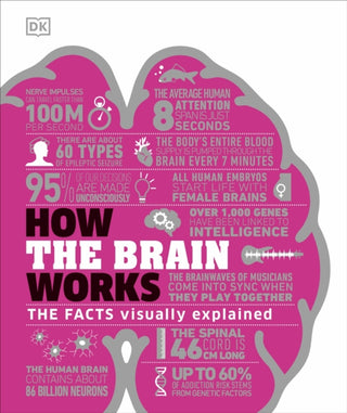 Cover image for 9780241403372 - How the Brain Works