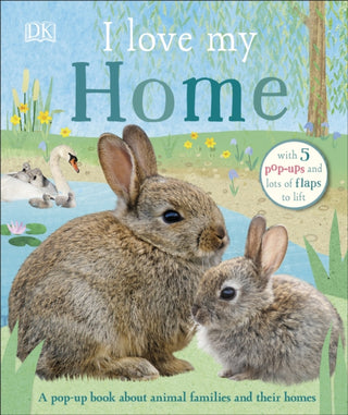 Cover image for 9780241409619 - I Love My Home