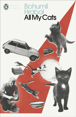Cover image for 9780241422199 - All My Cats