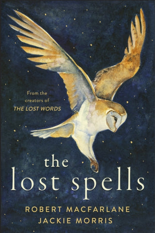 Cover image for 9780241444641 - The Lost Spells