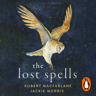 Cover image for 9780241481028 - The Lost Spells