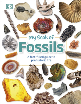 Cover image for 9780241533369 - My Book of Fossils