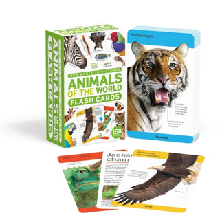 Cover image for 9780241571156 - Our World in Pictures Animals of the World Flash Cards