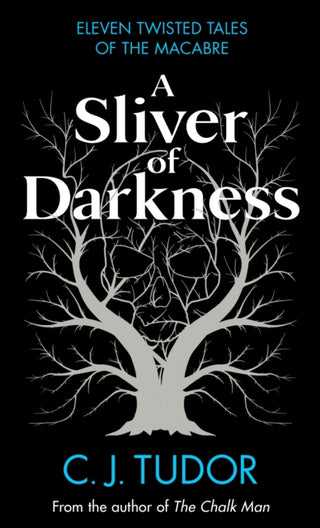 Cover image for 9780241582633 - A Sliver of Darkness