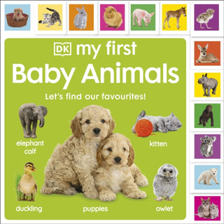 Cover image for 9780241585207 - My First Baby Animals: Let's Find Our Favourites!