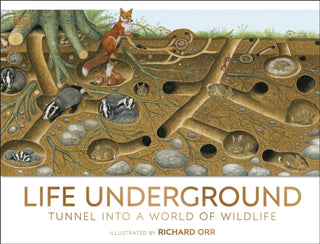 Cover image for 9780241595770 - Life Underground