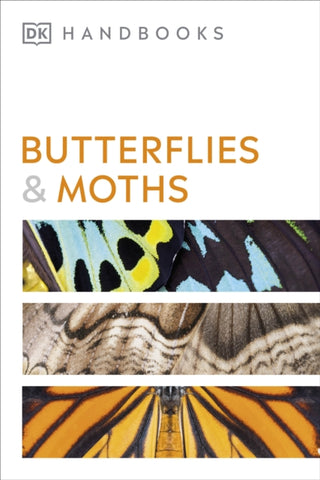 Cover image for 9780241600993 - Butterflies and Moths