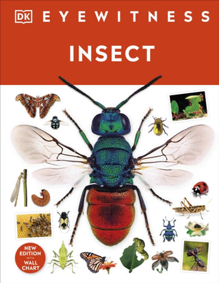 Cover image for 9780241617311 - Insect