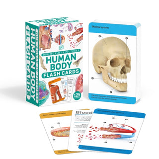 Cover image for 9780241620113 - Our World in Pictures Human Body Flash Cards