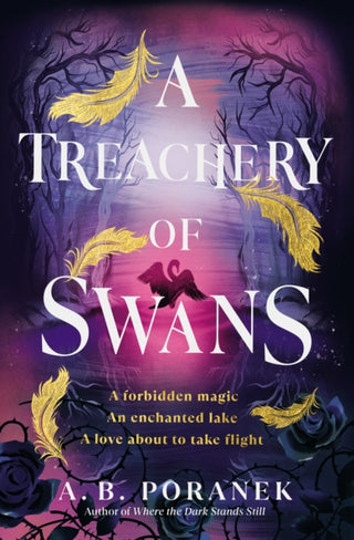 Cover image for 9780241622209 - A Treachery of Swans