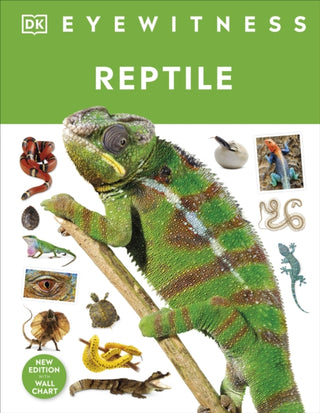 Cover image for 9780241631676 - Reptile