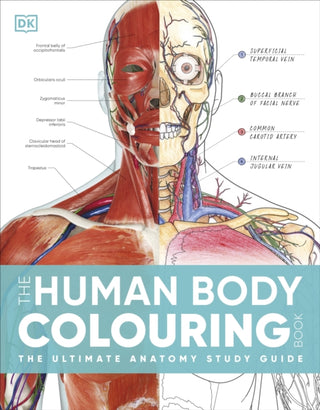 Supplemental image for 9780241664537 - The Human Body Colouring Book