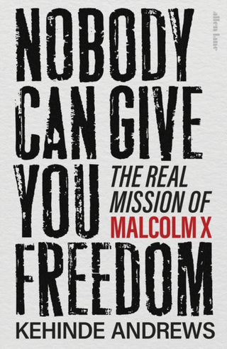 Cover image for 9780241681176 - Nobody Can Give You Freedom