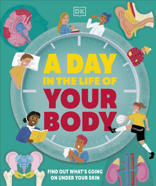 Cover image for 9780241683194 - A Day in the Life of Your Body