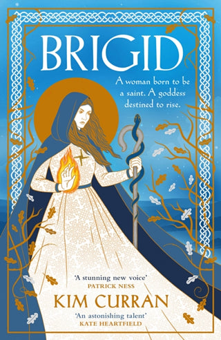 Cover image for 9780241713051 - Brigid