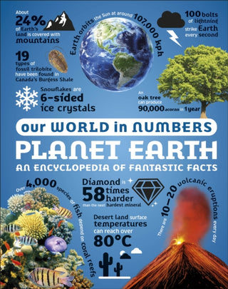 Cover image for 9780241738634 - Our World in Numbers Planet Earth