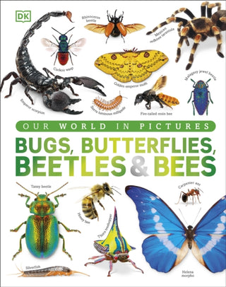 Cover image for 9780241772188 - Bugs, Butterflies, Beetles and Bees