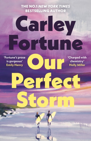 Cover image for 9780241813782 - Our Perfect Storm