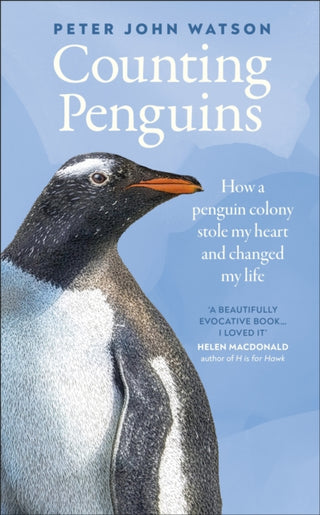 Cover image for 9780241826522 - Counting Penguins