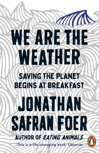 Cover image for 9780241984918 - We are the Weather