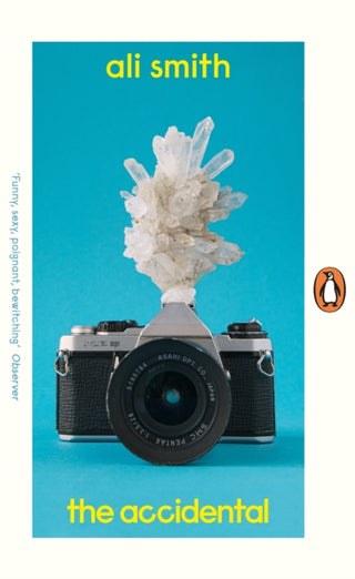 Cover image for 9780241989111 - The Accidental