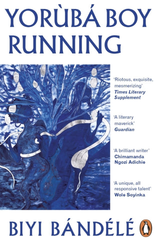 Cover image for 9780241995464 - Yorùbá Boy Running