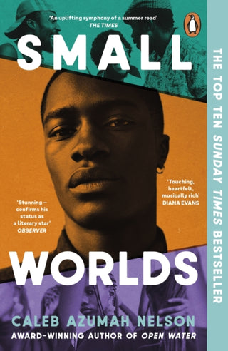 Cover image for 9780241996041 - Small Worlds