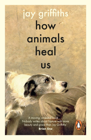 Cover image for 9780241997918 - How Animals Heal Us