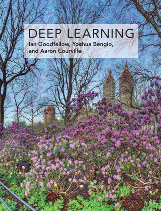 Supplemental image for 9780262035613 - Deep Learning