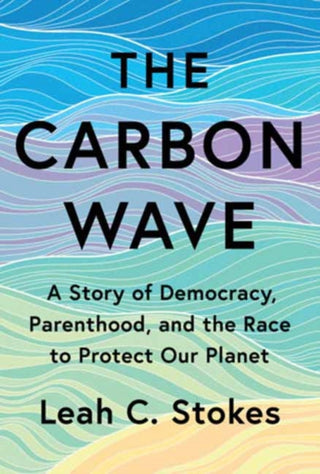 Cover image for 9780262054775 - The Carbon Wave