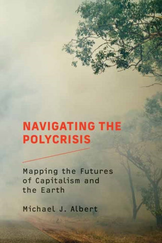 Cover image for 9780262547758 - Navigating the Polycrisis