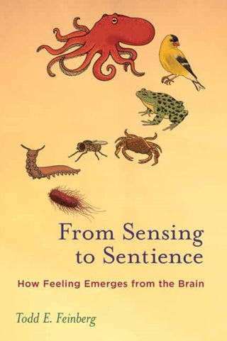 Cover image for 9780262550956 - From Sensing to Sentience