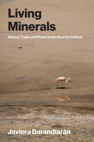 Cover image for 9780262553704 - Living Minerals