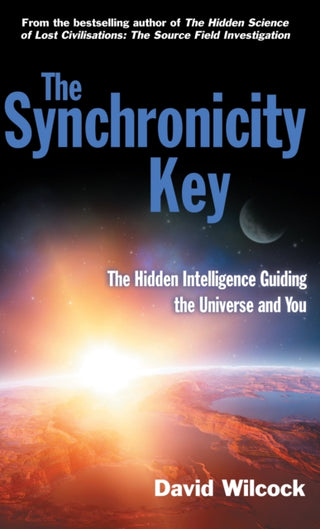 Cover image for 9780285642539 - The Synchronicity Key