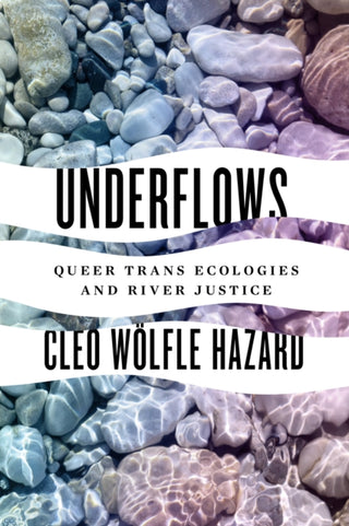 Cover image for 9780295749754 - Underflows