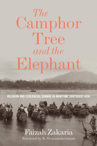 Cover image for 9780295751191 - The Camphor Tree and the Elephant