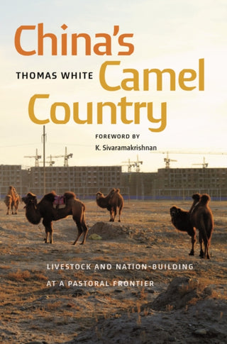 Cover image for 9780295752433 - China's Camel Country