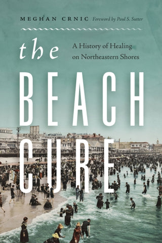 Cover image for 9780295753959 - The Beach Cure
