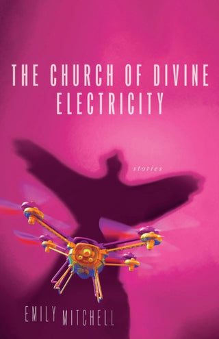 Cover image for 9780299354343 - The Church of Divine Electricity