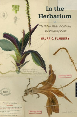 Cover image for 9780300247916 - In the Herbarium – The Hidden World of Collecting and Preserving Plants