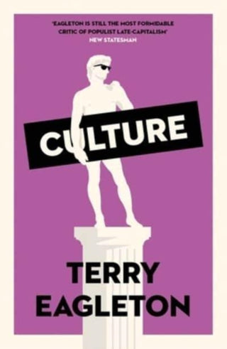 Cover image for 9780300270617 - Culture